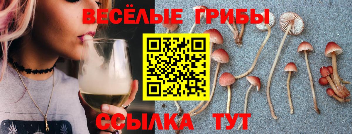 Псилоцибиновые грибы мицелий Орехово-Зуево