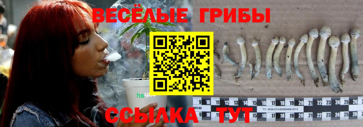 Галлюциногенные грибы мухоморы  купить закладку  Орехово-Зуево  Галлюциногенные грибы Psilocybe  Вход с VPN 